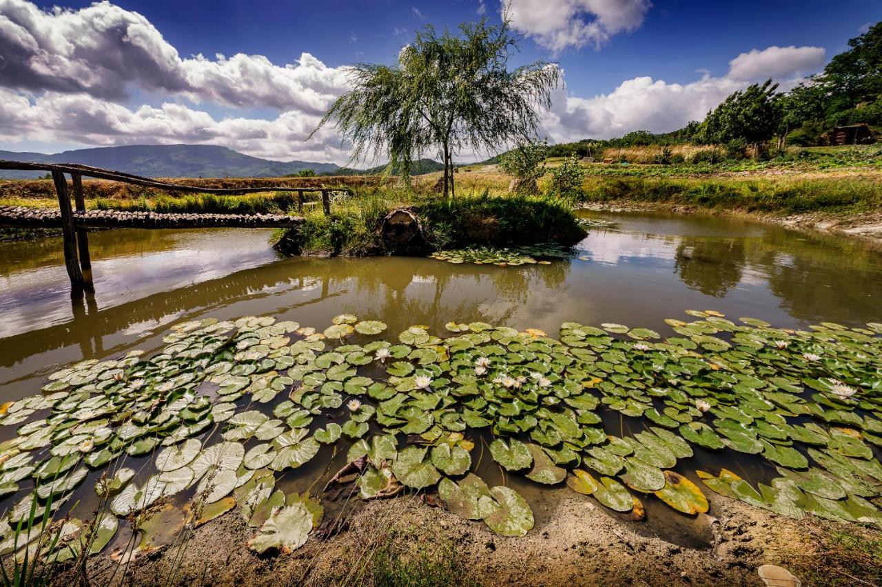 Agriturismo Biologico Autosufficienza Bagno di Romagna Exteriör bild