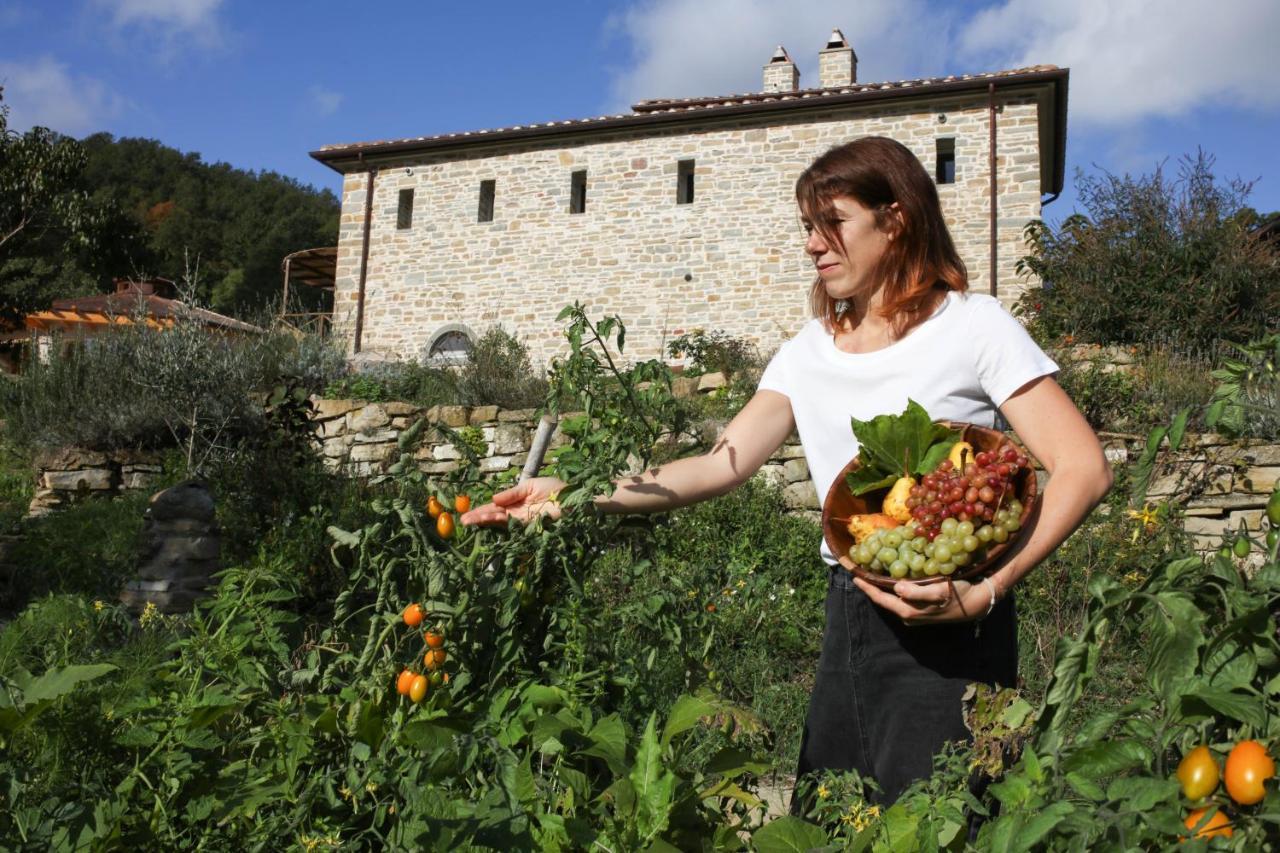 Agriturismo Biologico Autosufficienza Bagno di Romagna Exteriör bild