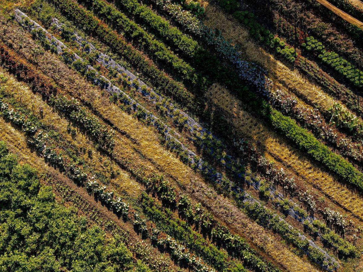 Agriturismo Biologico Autosufficienza Bagno di Romagna Exteriör bild